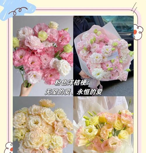 浅色桔梗的花语有哪些含义？