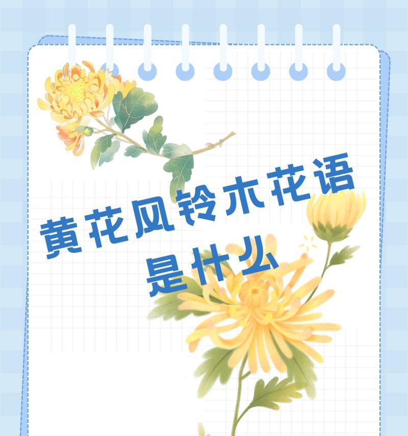风铃草的花语有哪些？