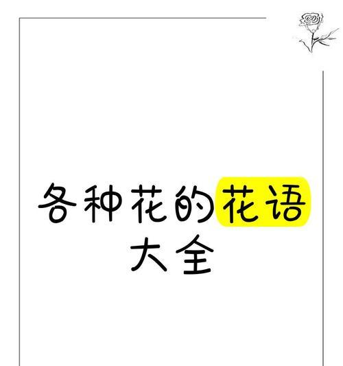 星王子的花语有何深意？
