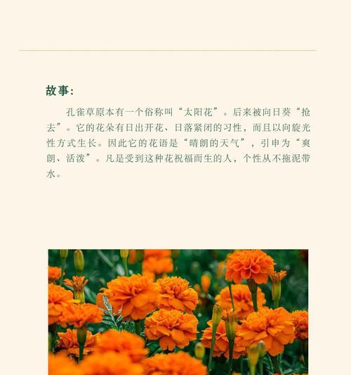 花的别名有哪些？花的别名花语是什么？