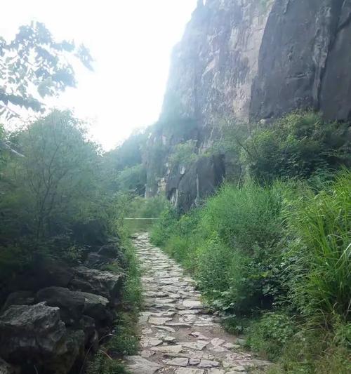 上水石制作瀑布的步骤和技巧是什么？