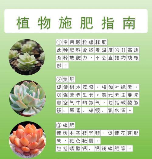 家里养花用什么肥料？不同花卉的施肥技巧有哪些？