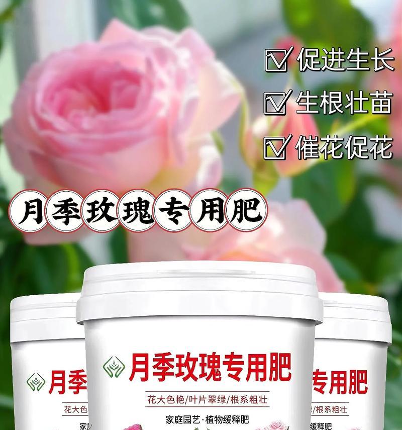 家里养花用什么肥料？不同花卉的施肥技巧有哪些？