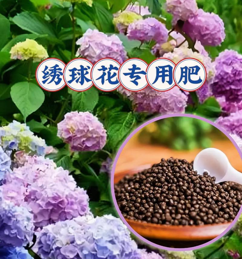家里养花用什么肥料？不同花卉的施肥技巧有哪些？