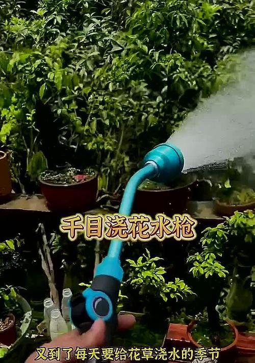 什么水最适合浇花？浇花用水的正确选择是什么？