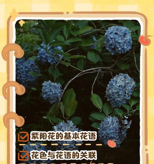 花哈的养殖方法是什么？如何照顾花哈让它茁壮成长？