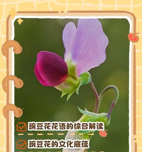 花哈的养殖方法是什么？如何照顾花哈让它茁壮成长？