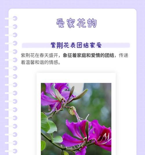 花哈的养殖方法是什么？如何照顾花哈让它茁壮成长？