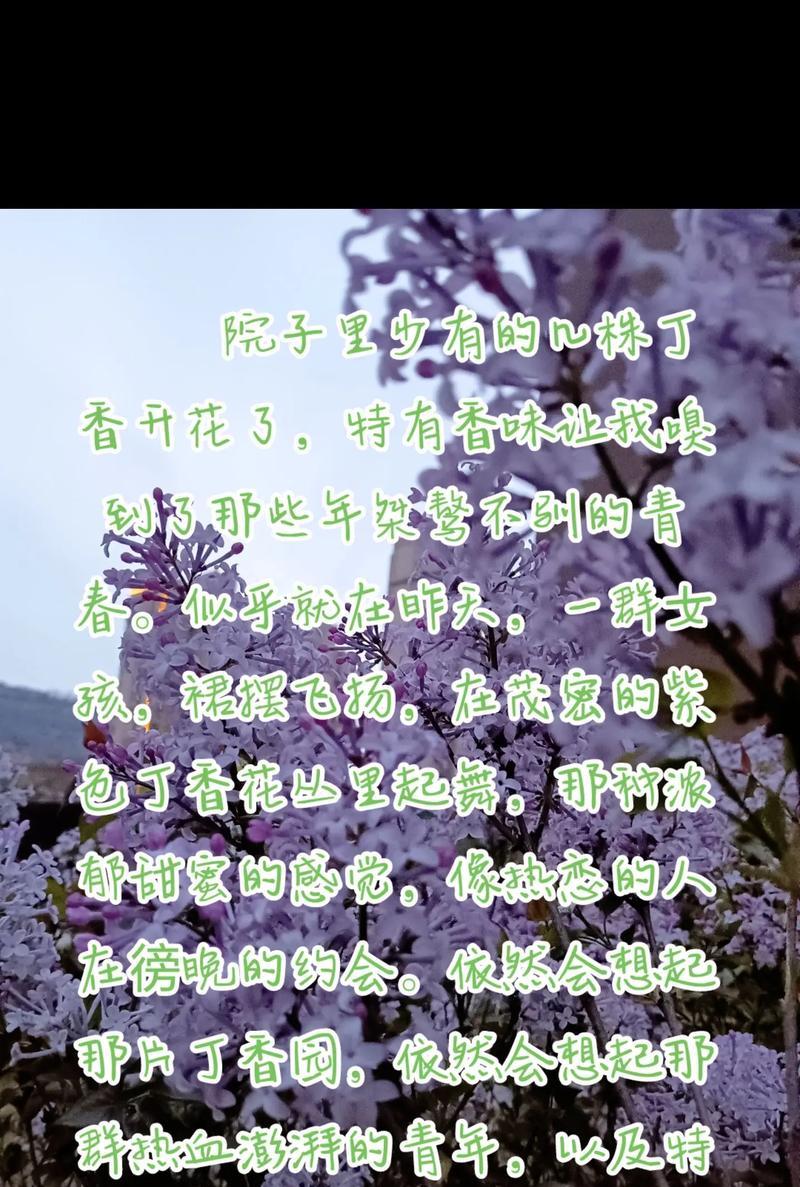丁香花种植的正确步骤和养护要点是什么？