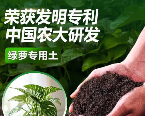 绿萝生长需要施用哪种肥料？