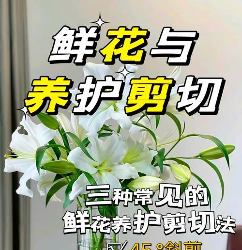 百合花束的正确养护方法是什么？
