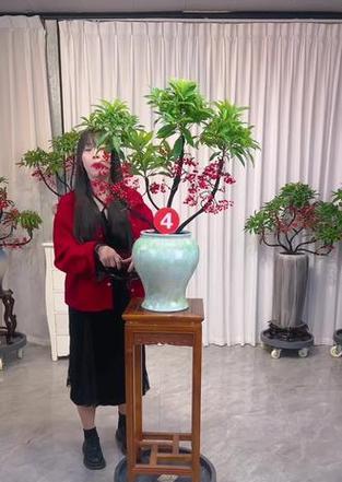 挂果盆景有哪些？它们的观赏价值和养护方法是什么？