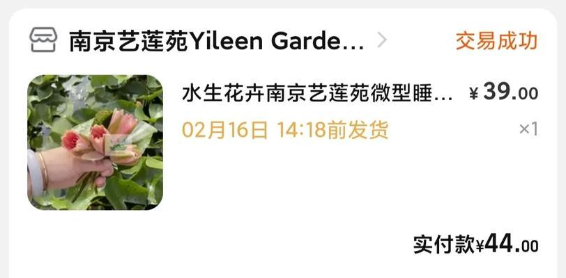 碗莲种植需要注意什么？如何在容器中成功种植？