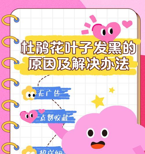 花卉叶子脱落的原因是什么？如何预防和解决？
