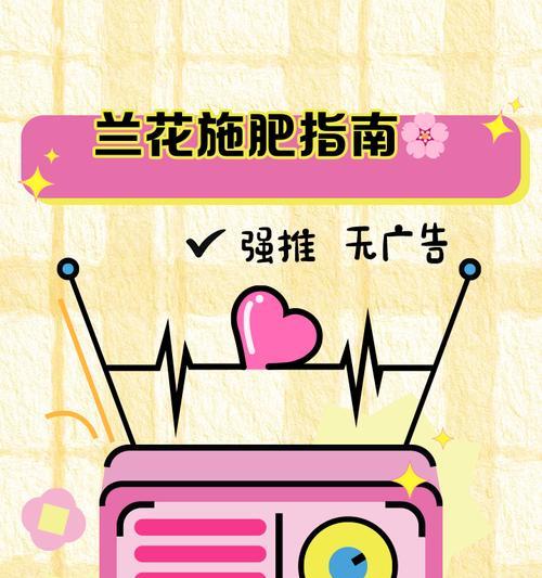 兰花需要什么肥料？如何正确施肥促进生长？