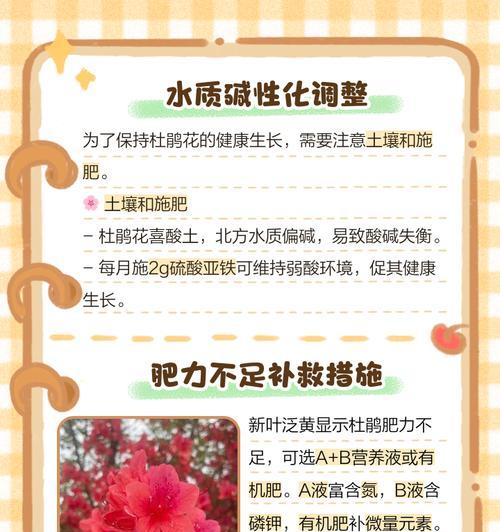 杜鹃花落叶问题的解决方法是什么？