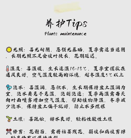 秋季栀子花养护要点是什么？如何让栀子花安全过秋？