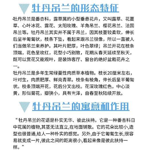 吊兰有哪些种类？它们的养护技巧是什么？