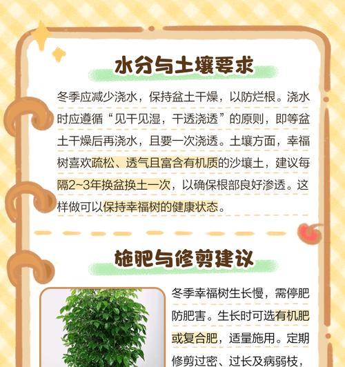 小幸福树的养殖技巧有哪些？
