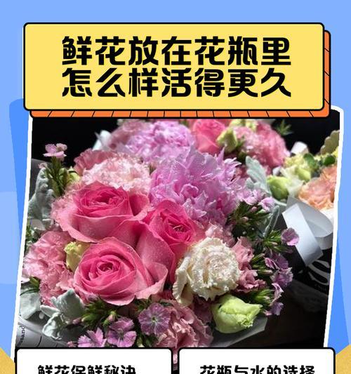 玫瑰花插花瓶的正确方法和保鲜技巧？