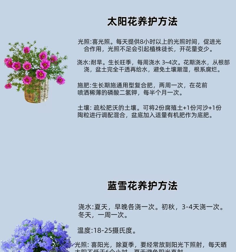 蝴蝶兰花后管理？如何促进再次开花？