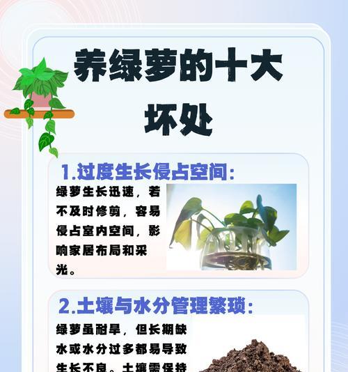 绿萝的养护方法是什么？如何养出健康的绿萝？