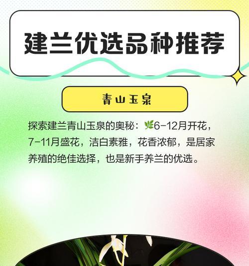 建兰有哪些品种？如何区分不同品种的建兰？