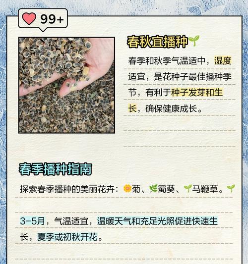 种子种植的步骤和技巧是什么？