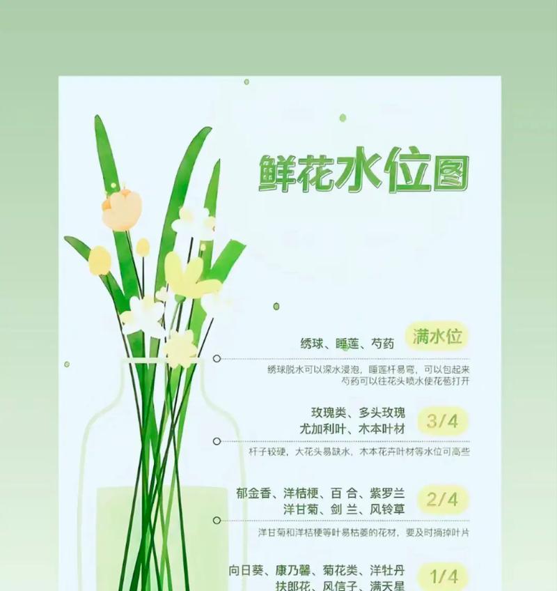 水栽植物的养护技巧是什么？