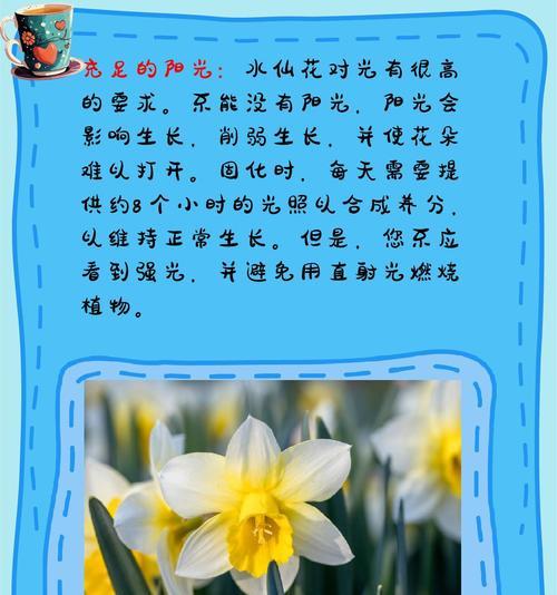 水栽植物的养护技巧是什么？