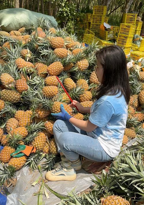 凤梨品种有哪些？如何挑选最甜美的凤梨品种？