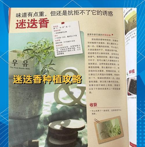 迷迭香繁殖技巧和最佳时机是什么？