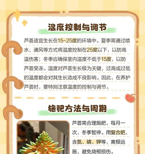 芦荟冬季养护技巧是什么？