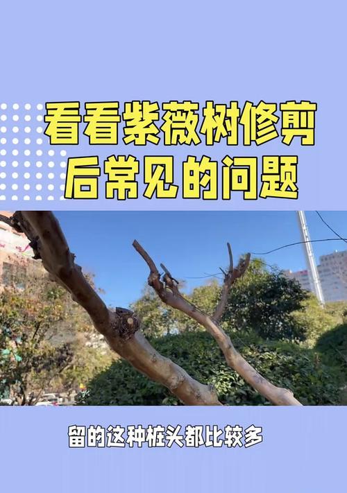 紫薇修剪的最佳时机和方法是什么？