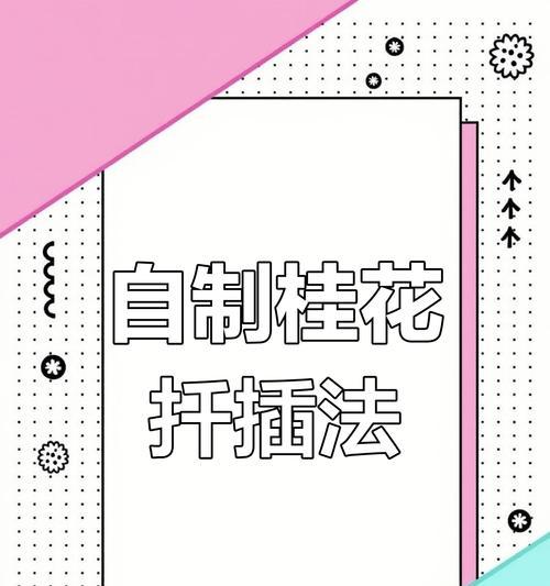 桂花繁殖的常用方法是什么？如何进行扦插繁殖？