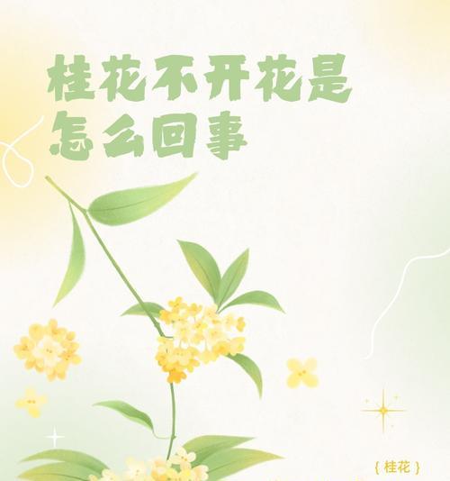 四月桂花怎么开了？桂花提前开花的原因是什么？
