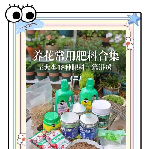 盆景肥料自制方法有哪些？如何制作高效盆景肥料？