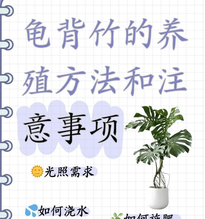 龟背竹的养殖技巧和常见问题是什么？