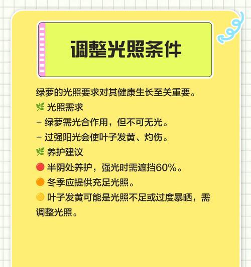 冬天绿萝叶子发黄怎么办？如何保持绿萝的健康？