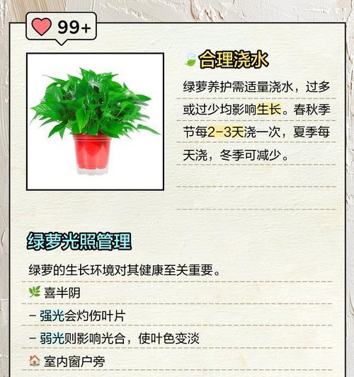 冬天绿萝叶子发黄怎么办？如何保持绿萝的健康？