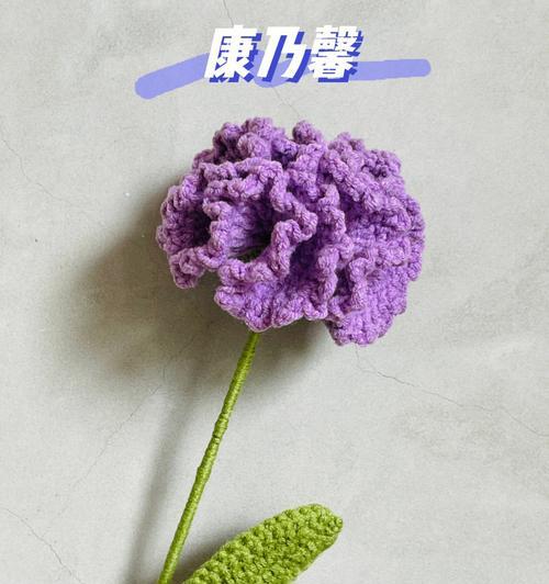 康乃馨花繁殖的有效方法？