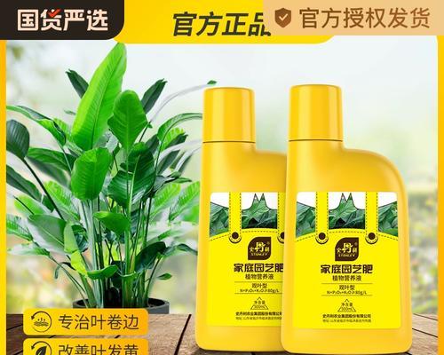 天堂鸟花卉生长需要哪种肥料？
