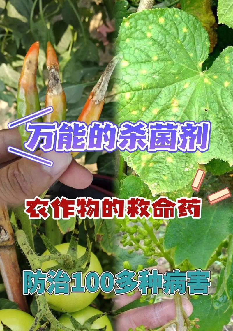 盆栽杀菌的有效方法是什么？杀菌后如何防止复发？