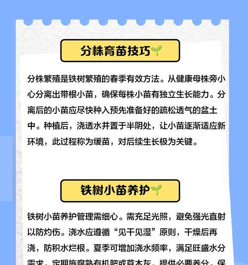龙铁树繁殖技巧有哪些？