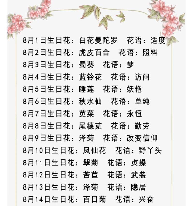 黑兔耳朵的养护要点是什么？怎样才能养出茂盛的黑兔耳朵？