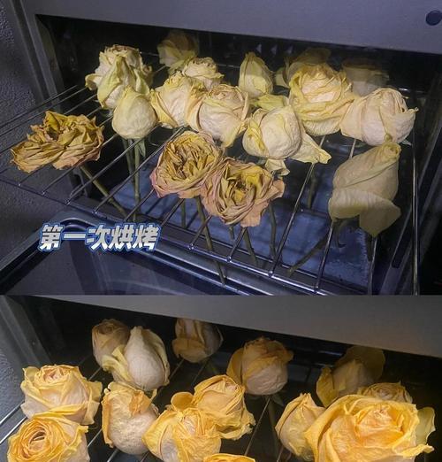 鲜花制作干花的步骤和技巧是什么？