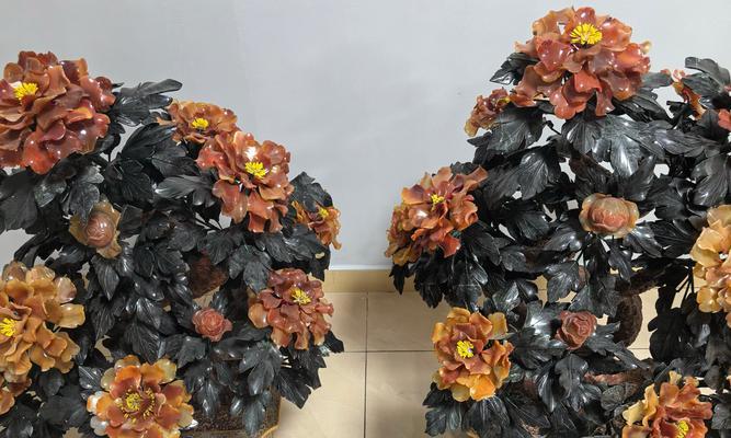 牡丹花盆栽的正确方法和注意事项是什么？