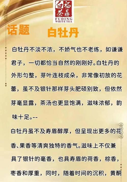 白牡丹花品种有哪些？白牡丹花的养护和繁殖方法是什么？