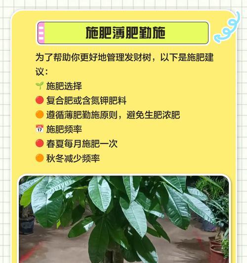 树木养护的基本技巧和常见问题解答？