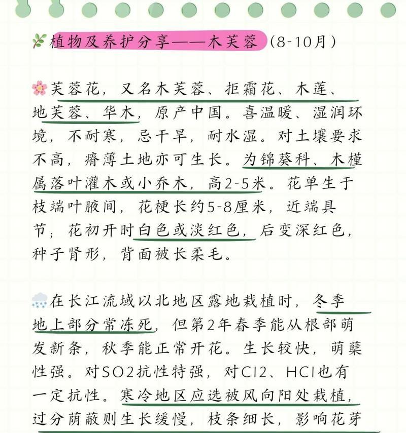 树木养护的基本技巧和常见问题解答？